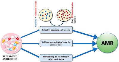 Repurposing of Antibiotics: Sense or Non-sense